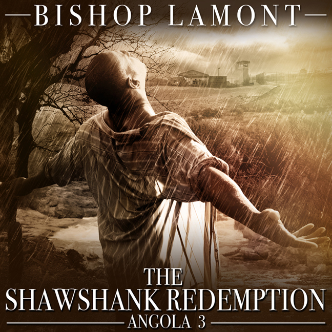 Bishop Lamont - The Shawshack Redemption: Angola 3 **mixtape** // Bishop Lamont ft Liz Rodrigues of The New Royales - Rain **Video**