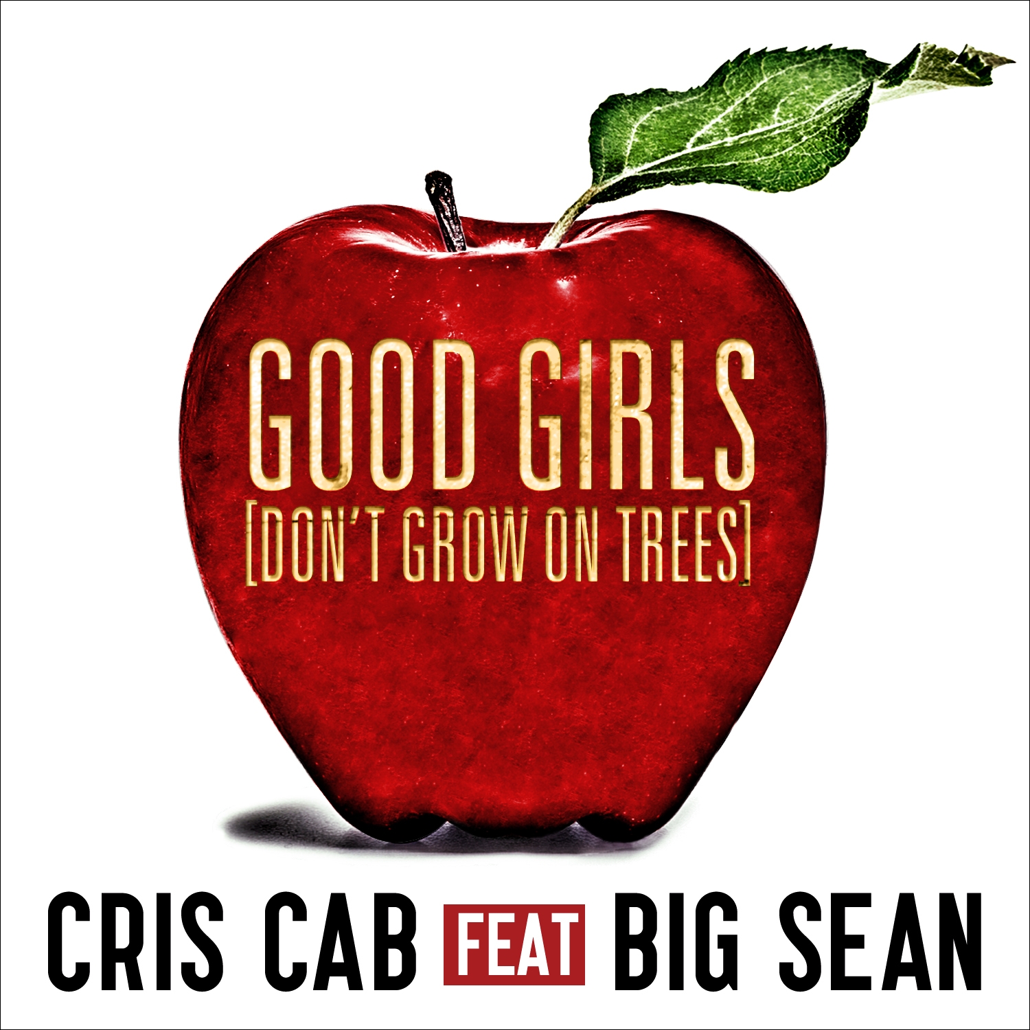 Cris Cab - Good Girls (Don't Grow on Trees) ft. Big Sean **Audio**