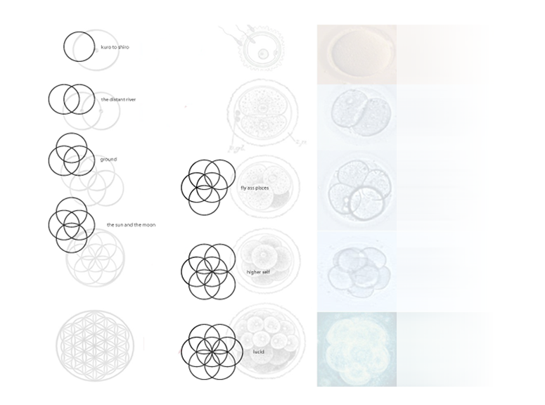 Cocaine 80s - The Flower of Life [EP]