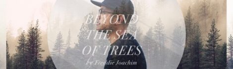 Freddie Joachim - Beyond The Sea Of Trees feat. FloFilz