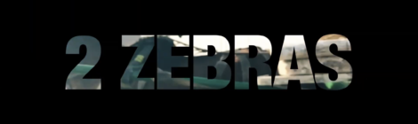 N.B.S. - 2 Zebras (Prod By Kool Kasko) [Video]