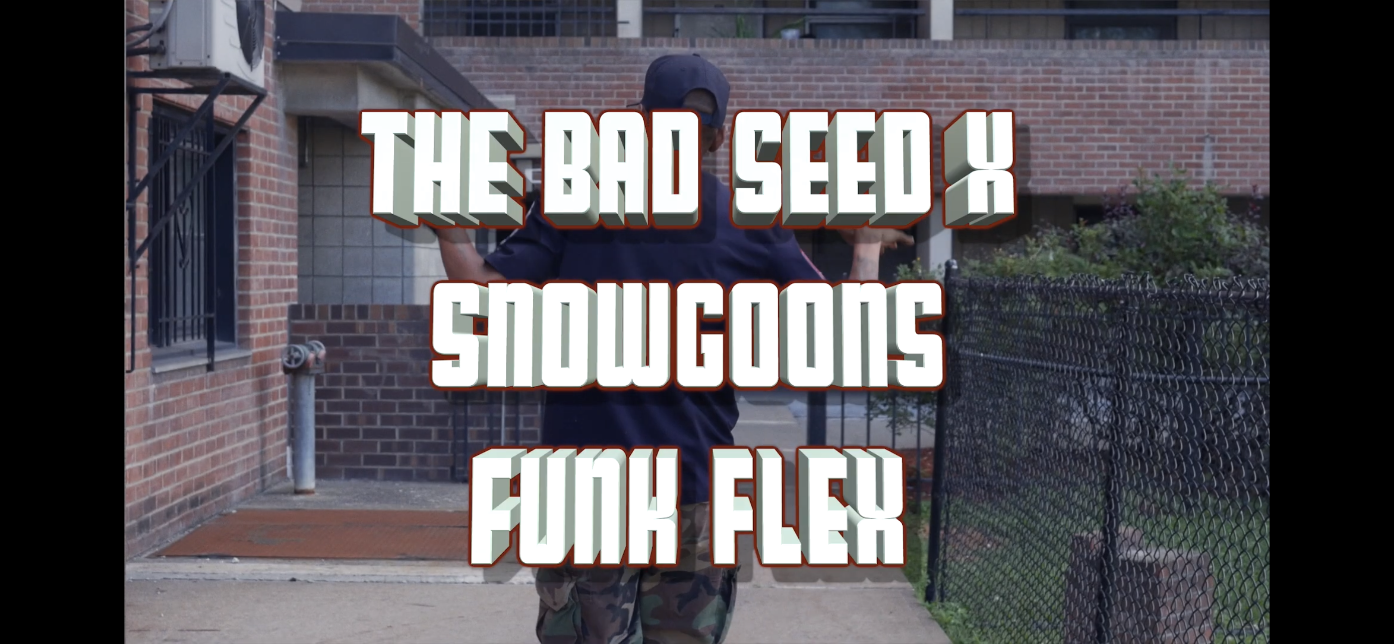 The Bad Seed & Snowgoons - Funk Flex (VIDEO)