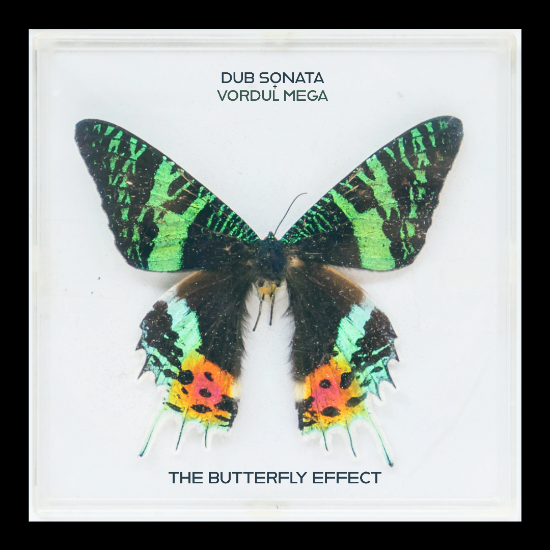 Dub Sonata "The Butterfly Effect" feat. Vordul Mega | audio