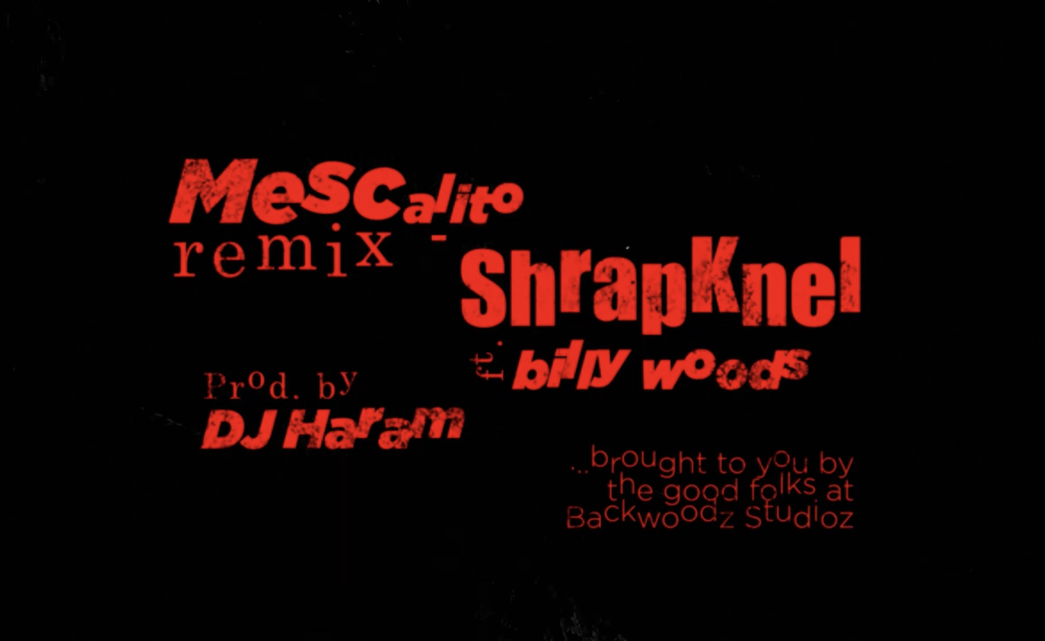 ShrapKnel - Mescalito Remix feat. billy woods (prod. by DJ Haram) | video